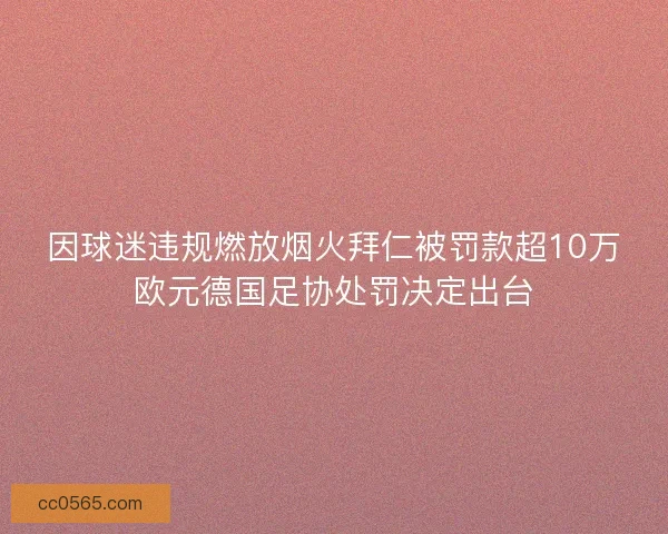 因球迷违规燃放烟火拜仁被罚款超10万欧元德国足协处罚决定出台