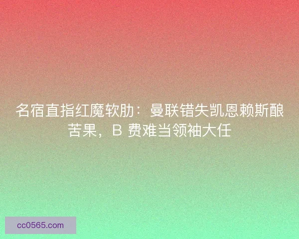名宿直指红魔软肋：曼联错失凯恩赖斯酿苦果，B 费难当领袖大任